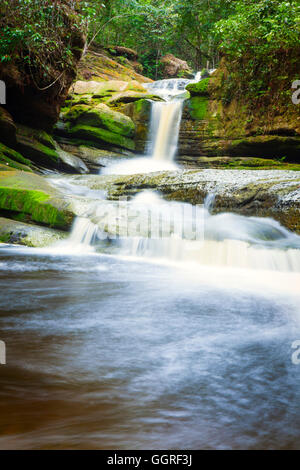 Una cascata nella foresta pluviale, Golfito, Costa Rica Foto Stock