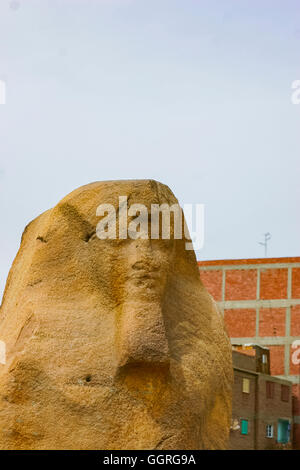 L'Egitto, al Cairo, Heliopolis, una zona preparata per essere un museo a cielo aperto in futuro. Incompiuta colosso di Ramses II. Foto Stock