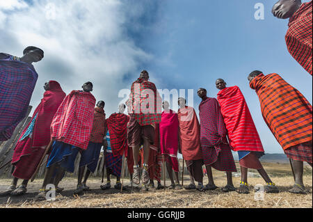 La Tanzania, il cratere di Ngorongoro, Masai dance Foto Stock