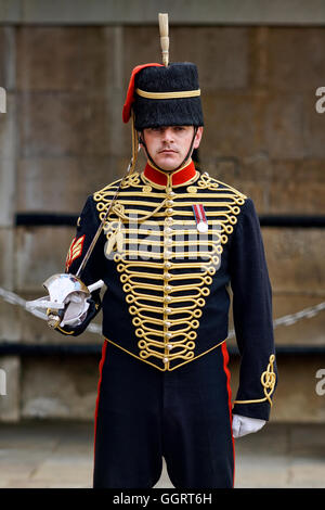 Trooper maschio, re della truppa, Royal Artiglieria a cavallo Foto Stock