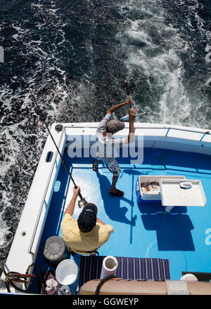 Trolling mentre fuori la pesca in mare profondo in Destin Florida Foto Stock