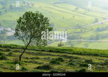 Vista dalla città di Abionzo, comune di Villacarriedo, Cantabria, SPAGNA Foto Stock