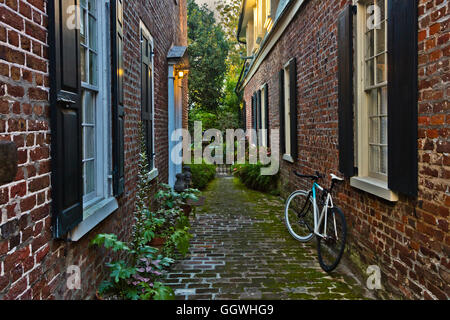 Palazzi meridionale nella vecchia sezione storica di Charleston, Carolina del Sud Foto Stock