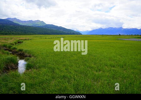 Slough a Potter Marsh Wildlife Visualizzazione Boardwalk in Anchorage in Alaska, Foto Stock