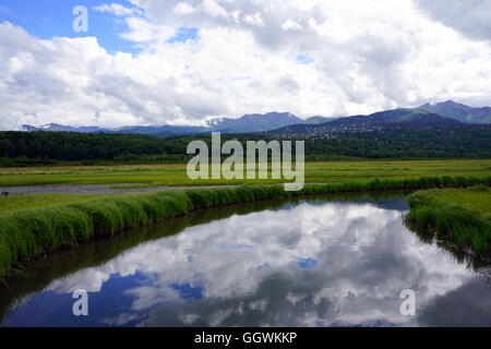 Slough a Potter Marsh Wildlife Visualizzazione Boardwalk in Anchorage in Alaska, Foto Stock