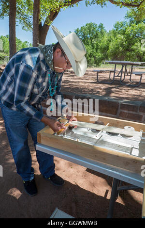 Ganado, Arizona - una pecora, la lana e il laboratorio di tessitura a Hubbell Trading Post sul Navajo Nation. Foto Stock