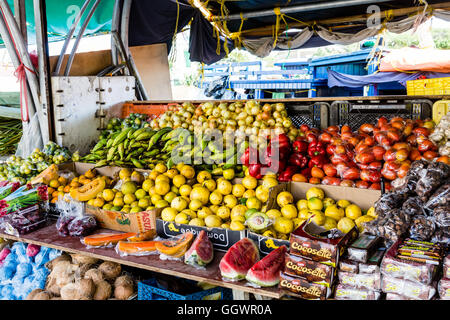 La frutta tropicale presso il locale mercato Curacao Foto Stock