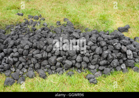 Pila di carbone. Grumi di combustibili fossili in un heap sull'erba. Foto Stock