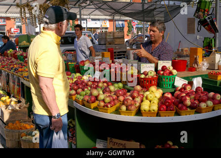 Il cliente parla con un fornitore Apple all'Atwater Market o Marché Atwater, Montreal, Quebec, Canada Foto Stock