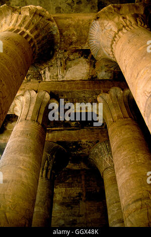Floreali colonne sormontate all interno del tempio di Hathor a Dendera, Sud Egitto. Periodo tolemaico. Foto Stock