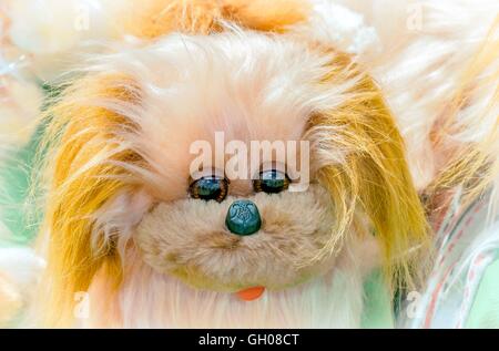 Close up presenta una per bambini giocattolo morbido: cute cane Shaggy con nero lucido gli occhi. Foto Stock