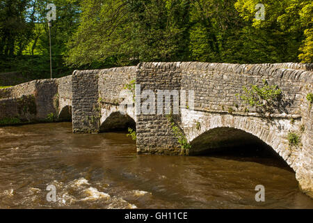 Regno Unito, Inghilterra, Derbyshire, Ashford nell'acqua, sheepwash ponte sul fiume Wye Foto Stock