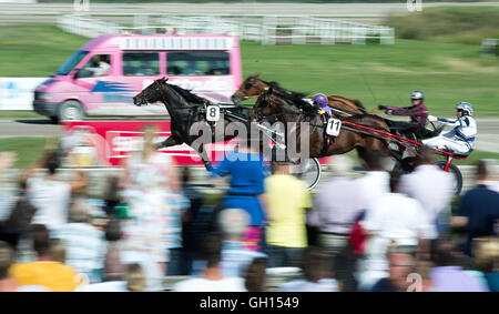 Berlin-Marienfelde, Germania. 07 Ago, 2016. Una vista del traguardo del Berlin-Jaegersro Trot-Cup Super 2016 al 121 tedesco Traber Derby in corrispondenza del cablaggio racing via in Berlin-Marienfelde, Germania, 07 agosto 2016. Foto: Joerg Carstensen/DPA/Alamy Live News Foto Stock