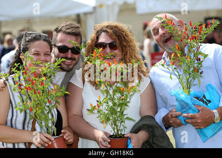 Chichester, Regno Unito. Il 7 agosto, 2016. Il Regno Unito il più grande festival di peperoncino a West Dean Gardens, vicino a Chichester, West Sussex, Regno Unito. Nella foto è azione dell'evento. Credito: Sam Stephenson/Alamy Live News. Foto Stock