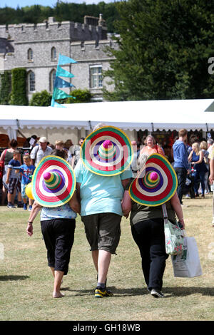 Chichester, Regno Unito. Il 7 agosto, 2016. Il Regno Unito il più grande festival di peperoncino a West Dean Gardens, vicino a Chichester, West Sussex, Regno Unito. Nella foto è azione dell'evento. Credito: Sam Stephenson/Alamy Live News. Foto Stock