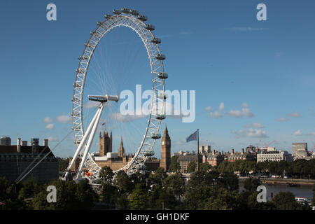 Londra, Regno Unito. 8 agosto, 2016. Una vista del London Eye preso dal tetto del Southbank 's Festival Hall Credito: Roger Garfield/Alamy Live News Foto Stock