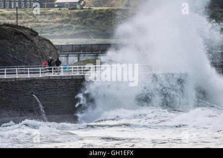 Aberystwyth Wales UK, Lunedì 08 Agosto 2016 gale force vento che soffia da nord-ovest , combinata con una alta marea a metà giornata, portare enormi onde che si schiantano nella passeggiata a mare e pareti in Aberystwyth su Cardigan Bay costa di West Wales UK Photo credit: Keith Morris / Alamy Live News Foto Stock