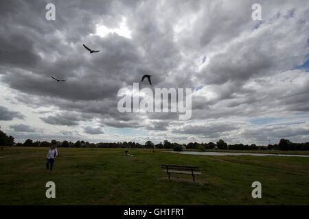 Londra, Regno Unito. 8 agosto 2016. I pedoni a piedi sotto cieli bui su Wimbledon Common Credit: amer ghazzal/Alamy Live News Foto Stock