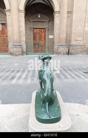 Cane di fronte alla Cattedrale e a Las Palmas de Gran Canaria, Spagna. Simbolo delle isole Canarie Foto Stock