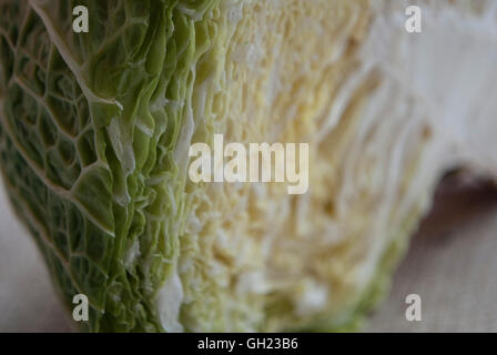 La fotografia macro di un verde dimezzata cavolo verza Foto Stock