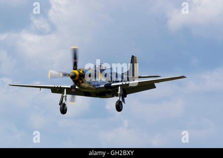 P-51D Mustang N251RJ, Miss Velma a Duxford, Foto Stock