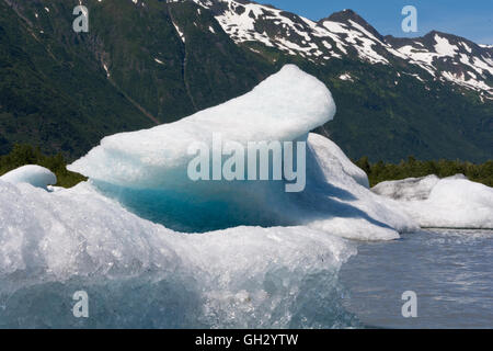 La fusione ha arrotondato i bordi di questo frammento del ghiacciaio seduto in un lago. Foto Stock