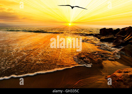 Silhouette di uccelli ocean sunset è un singolo uccello volare oltre oceano acqua come raggi di sole sgorgare dalla sun. Foto Stock