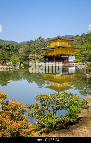 L'incredibile Kinkaku-ji il tempio dorato a Kyoto, Giappone Foto Stock