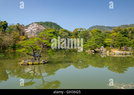 Bellissima natura rilassante nel tipico giardino giapponese Foto Stock