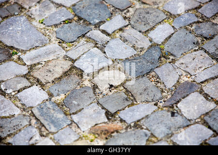 Chiusura del marciapiede con il grigio acciottolato Foto Stock