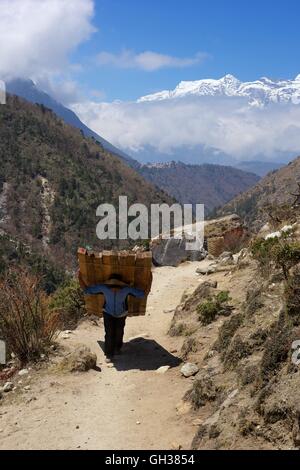 Il nepalese porter il trasporto del carico di legno vicino a Tengboche, Parco Nazionale di Sagarmatha, Solukhumbu quartiere, Nepal, Asia Foto Stock
