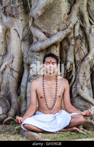 Un giovane uomo indù si siede in meditazione sotto un banyan tree. Foto Stock