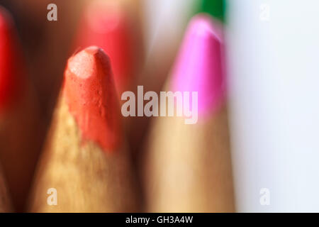 Close up macro shot di color pencil matita di pelo naselli messa a fuoco selettiva