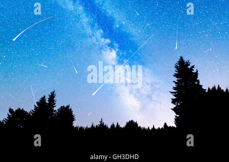 Una vista delle stelle della Via Lattea con una silhouette di una foresta di conifere in primo piano. Notte cielo natura estate landsca Foto Stock
