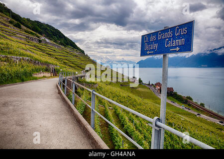 Segno in corrispondenza di un lato piste Country Road vigneto di Lavaux terrazze, Epesses, Canton Vaud, Svizzera Foto Stock