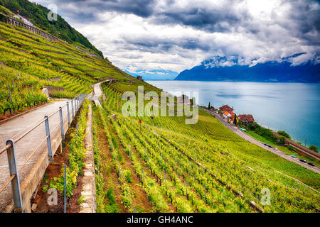 Piccolo paese sul lato delle piste strada conduce attraverso vigneti terrazzati lungo il lago di Ginevra, Epesses, Canton Vaud, Svizzera Foto Stock