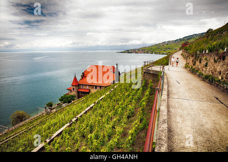 Un paio di escursioni attraverso un lato piste vigna lungo il lago di Ginevra, Dezaley, Canton Vaud, Svizzera Foto Stock