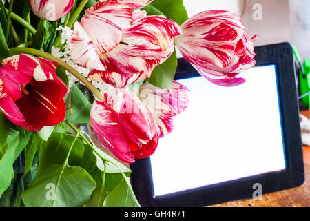 Il bianco e il rosso tulipani e electronic photo frame. Foto Stock
