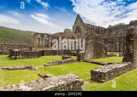 Le rovine di Tintern Abbey nella valle del Wye, Monmouthshire, Wales, Regno Unito Foto Stock