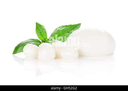 Mozzarella di bufala e basilico foglie di erbe. Isolato su sfondo bianco Foto Stock