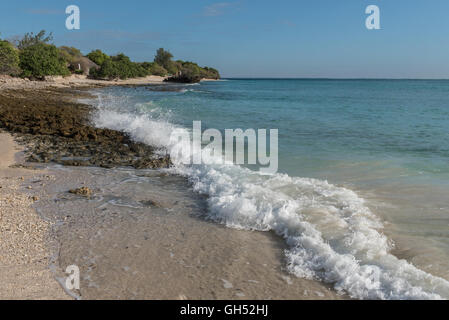 Sulla spiaggia di Quilalea Isola nell'arcipelago Quirimbas Foto Stock