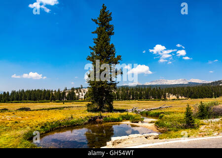 Parco Nazionale di Yosemite con fumo dal fuoco Soberanes di Monterey in California vicino a Big Sur che ha deviato la navigazione Foto Stock