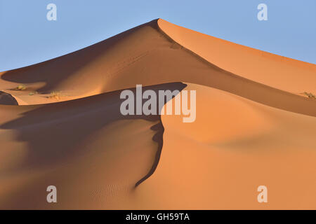 Geografia / viaggi, Marocco, dune di Merzouga nella luce del mattino, grande mare di sabbia, sahara Africa, Additional-Rights-Clearance-Info-Not-Available Foto Stock