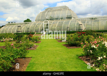 La Casa delle Palme presso il Royal Botanic Gardens, Kew, London, England, Regno Unito Foto Stock