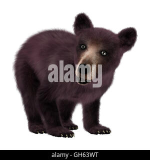 3D rendering di un Black Bear Cub isolati su sfondo bianco Foto Stock