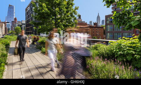 Vista dalla linea alta verso l'Hudson yards sulla mattina d'estate. Chelsea, Manhattan New York City Foto Stock