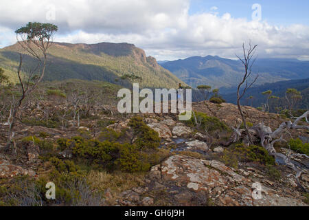 Escursionista in labirinto in Cradle Mountain-Lake St Clair Parco Nazionale Foto Stock