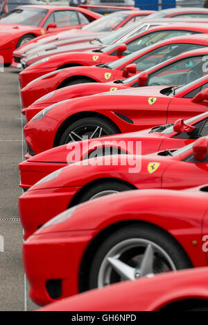 Ferrari Owners Club sport le vetture schierate al 2016 Silverstone evento classico, England, Regno Unito Foto Stock