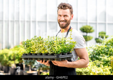 Giardiniere holding dei vasi con le piante Foto Stock