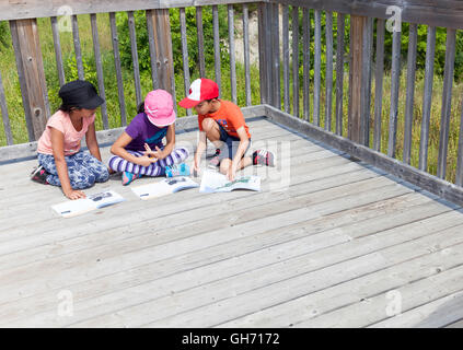 Tre bambini che giocano e su un field trip e day camp con i genitori e di un gruppo in un parco naturale di portelli di campo nella foresta. Foto Stock